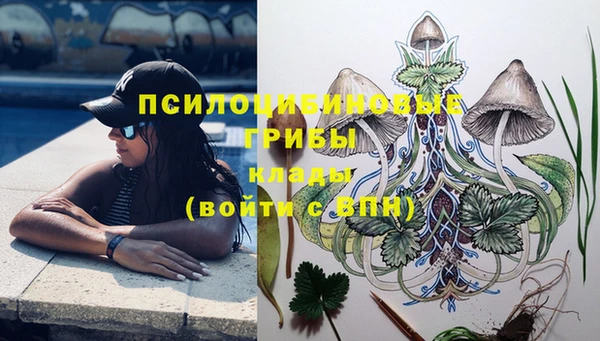марки nbome Алексеевка