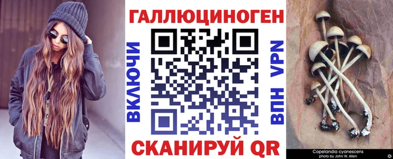мега ссылки Амурск Псилоцибиновые грибы Psilocybine cubensis